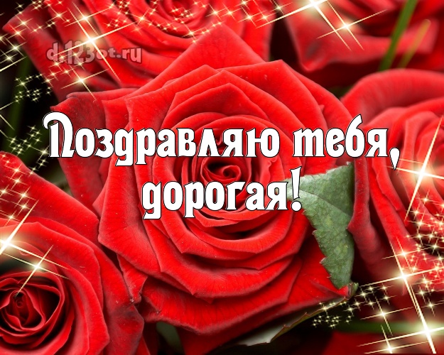 Поздравляю Тебя, дорогая! Трогательная картинка для дамы с розой для whatsApp, для телеграм, для vk, для фейсбук, для одноклассники! Скачать онлайн бесплатно для вацап!