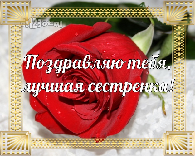Поздравляю Тебя, лучшая сестренка! Забавная картинка классной сестре с красивой розой для whatsApp, для телеграм, для вконтакте, для facebook, для одноклассники! Скачать онлайн бесплатно для вацап!