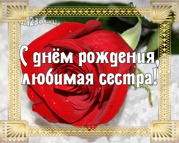 С днём рождения, любимая сестра! Великолепная открытка для лучшей сестры с розой для вацап, для telegram, для вк, для фейсбук, для одноклассники! Скачать онлайн бесплатно для вацап!