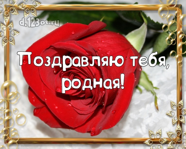 Поздравляю Тебя, родная! Чудесная картинка женщине с шикарными розами для ватсапа, для telegram, для вконтакте, для фейсбука, для одноклассников! Скачать онлайн бесплатно для вацап!