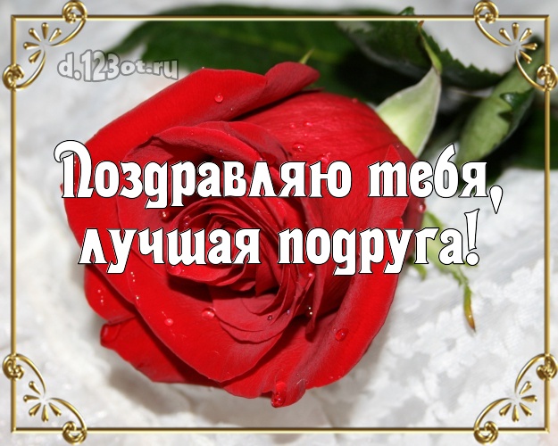 Поздравляю Тебя, лучшая подруга! Трогательная картинка классной подружке с цветами (розами) для вацап, для телеграм, для вк, для facebook, для одноклассников! Скачать онлайн бесплатно для вацап!