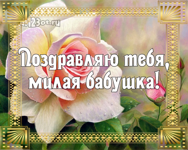 Поздравляю Тебя, милая бабушка! Ангельская открытка классной бабушке с фотками розы для ватсапа, для telegram, для вконтакте, для фейсбук, для одноклассников! Скачать онлайн бесплатно для вацап!