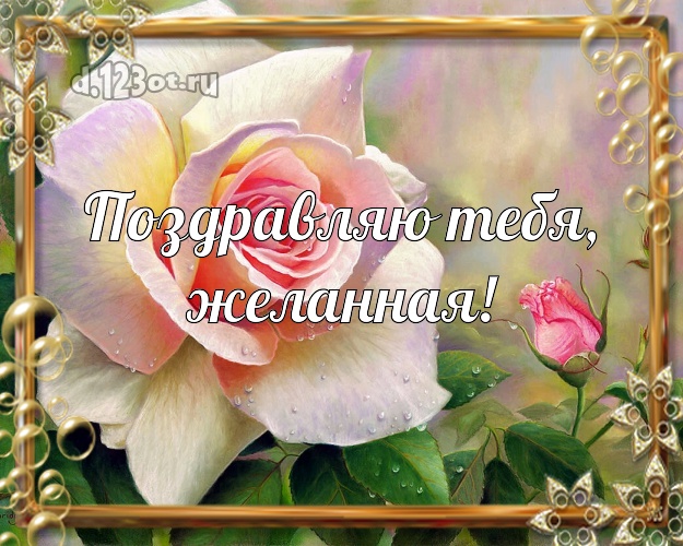 Поздравляю Тебя, желанная! Чудесная картинка для дамы с розами для ватсапа, для телеграм, для вконтакте, для фейсбука, для одноклассники! Скачать онлайн бесплатно для вацап!