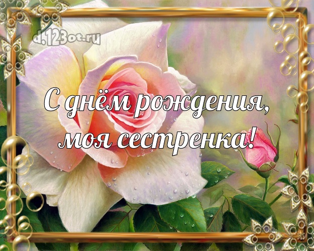 С днём рождения, моя сестренка! Чудесная открытка для лучшей сестры с красивой розой для whatsApp, для телеграм, для вконтакте, для facebook, для одноклассников! Скачать онлайн бесплатно для вацап!