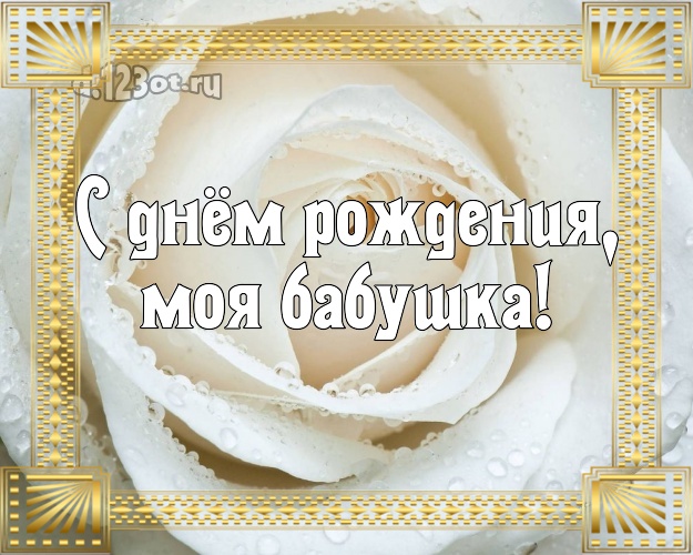 С днём рождения, моя бабушка! Ангельская картинка лучшей бабушке на свете с розой для вацап, для telegram, для вк, для фейсбук, для одноклассники! Скачать онлайн бесплатно для вацап!