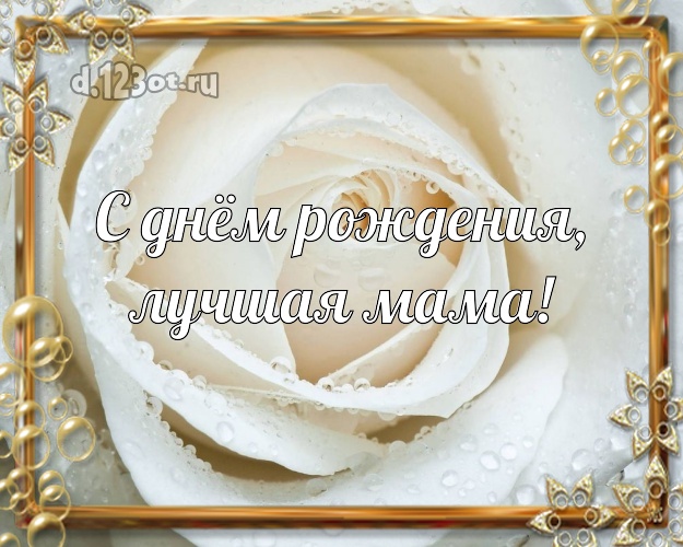 С днём рождения, лучшая мама! Чудесная картинка для лучшей мамы с розой для whatsApp, для telegram, для vk, для фейсбука, для одноклассники! Скачать онлайн бесплатно для вацап!
