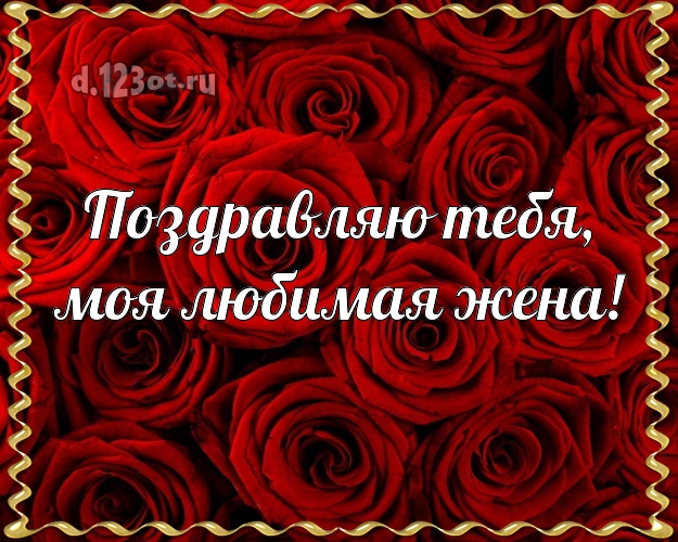 Поздравляю Тебя, моя любимая жена! Чудесная открытка любимой жене с фотками розы для ватсапа, для телеграм, для вконтакте, для фейсбук, для одноклассники! Скачать онлайн бесплатно для вацап!