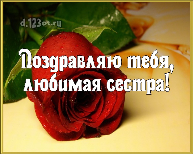 Поздравляю Тебя, любимая сестра! Чудесная картинка для классной сестры с розой для ватсапа, для telegram, для вконтакте, для фейсбука, для одноклассников! Скачать онлайн бесплатно для вацап!