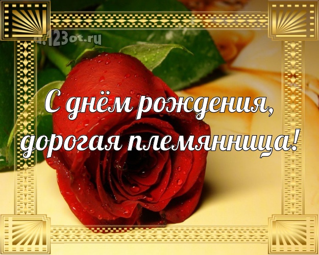 С днём рождения, дорогая племянница! Трогательная открытка для любимой племянницы с красивой розой для whatsApp, для телеграм, для вк, для фейсбук, для одноклассники! Скачать онлайн бесплатно для вацап!