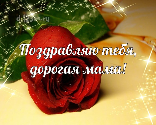 Поздравляю Тебя, дорогая мама! Лучшая открытка для лучшей мамы с розой для ватсапа, для телеграм, для vk, для фейсбука, для одноклассники! Скачать онлайн бесплатно для вацап!