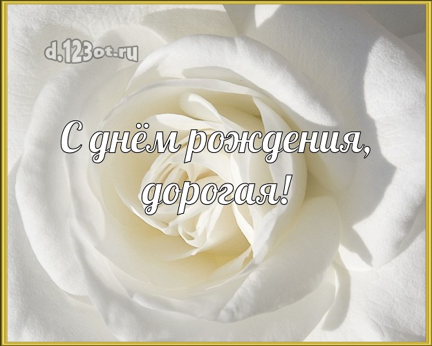 С днём рождения, дорогая! Ангельская картинка даме с розами для whatsApp, для телеграм, для vk, для facebook, для одноклассники! Скачать онлайн бесплатно для вацап!