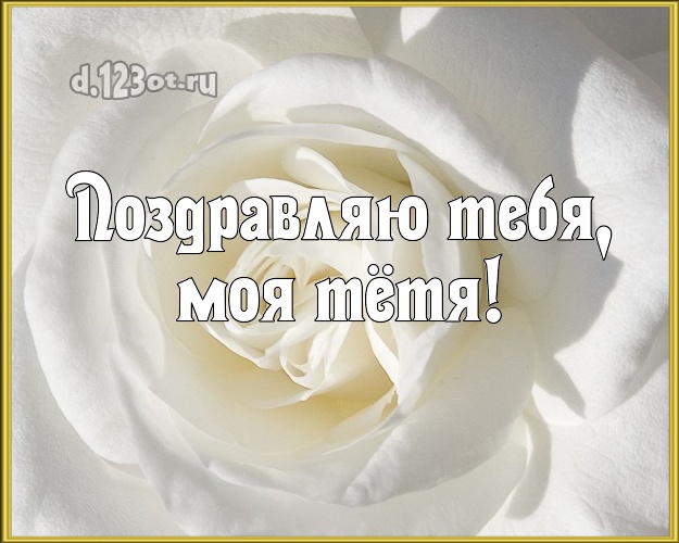 Поздравляю Тебя, моя тётя! Дивная картинка для лучшей тёти с розой для whatsApp, для телеграм, для вк, для фейсбука, для одноклассников! Скачать онлайн бесплатно для вацап!