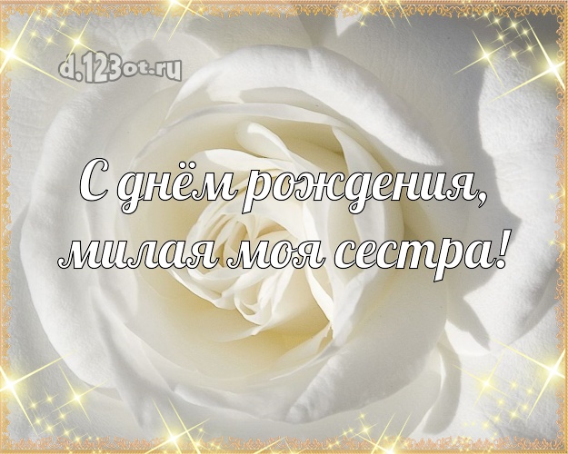 С днём рождения, милая моя сестра! Лучшая открытка для лучшей сестры с шикарными розами для вацап, для telegram, для вконтакте, для фейсбука, для одноклассников! Скачать онлайн бесплатно для вацап!