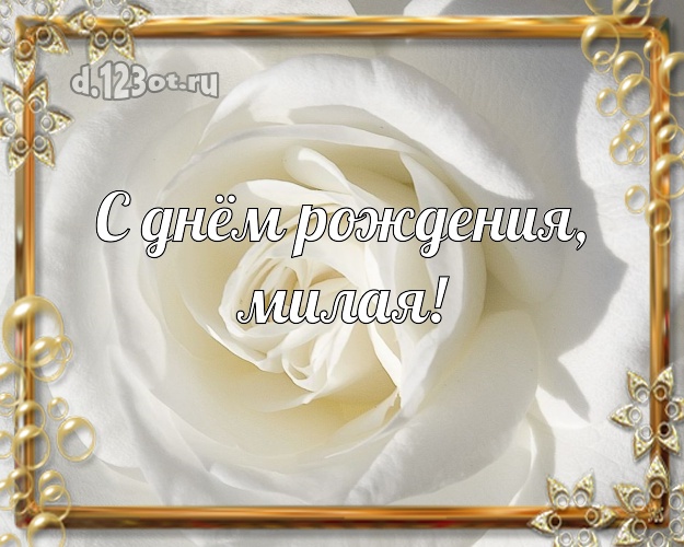 С днём рождения, милая! Лучшая картинка классной девчонке с розами для вацап, для telegram, для вк, для фейсбук, для одноклассники! Скачать онлайн бесплатно для вацап!