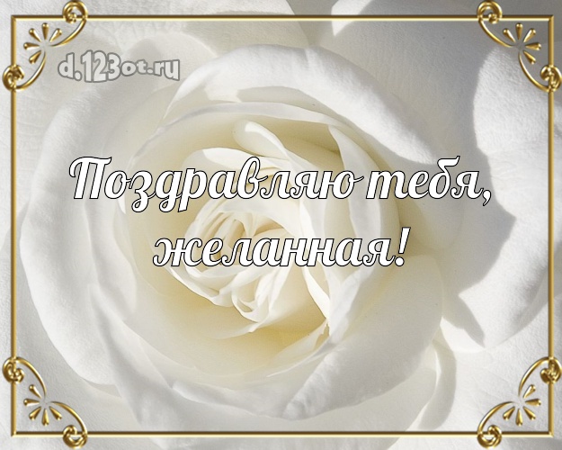 Поздравляю Тебя, желанная! Манящая открытка для женщины с шикарными розами для ватсапа, для telegram, для вконтакте, для facebook, для одноклассников! Скачать онлайн бесплатно для вацап!
