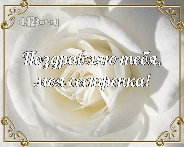 Поздравляю Тебя, моя сестренка! Забавная открытка лучшей сестре на свете с шикарными розами для вацап, для telegram, для вк, для фейсбук, для одноклассников! Скачать онлайн бесплатно для вацап!