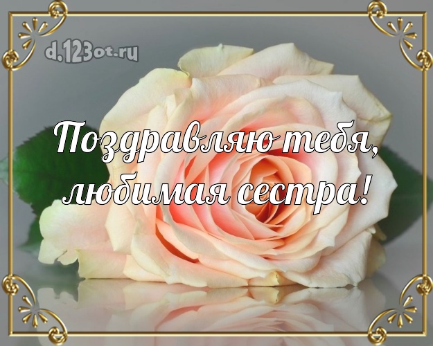 Поздравляю Тебя, любимая сестра! Манящая картинка лучшей сестре на свете с красивой розой для вацап, для telegram, для вк, для facebook, для одноклассников! Скачать онлайн бесплатно для вацап!