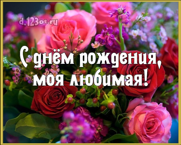 С днём рождения, моя любимая! Душевная картинка классной девчонке с красивой розой для ватсапа, для telegram, для vk, для facebook, для одноклассники! Скачать онлайн бесплатно для вацап!