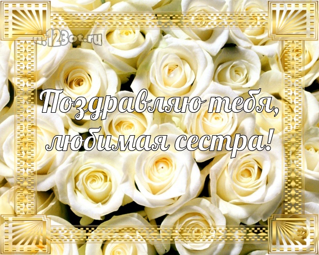 Поздравляю Тебя, любимая сестра! Чудесная открытка лучшей сестре на свете с фотками розы для вацап, для telegram, для вконтакте, для фейсбука, для одноклассников! Скачать онлайн бесплатно для вацап!