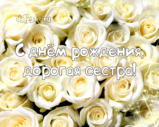 С днём рождения, дорогая сестра! Манящая открытка для лучшей сестры с красивой розой для ватсапа, для telegram, для вк, для facebook, для одноклассники! Скачать онлайн бесплатно для вацап!