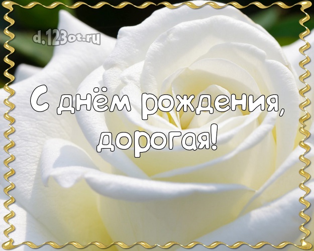 С днём рождения, дорогая! Лучшая открытка женщине с красивой розой для вацап, для телеграм, для vk, для фейсбук, для одноклассники! Скачать онлайн бесплатно для вацап!