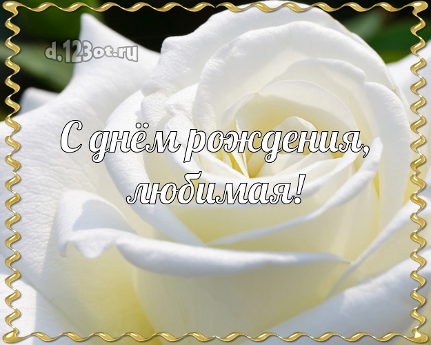 С днём рождения, любимая! Душевная картинка для дамы с фотками розы для ватсапа, для telegram, для vk, для facebook, для одноклассники! Скачать онлайн бесплатно для вацап!