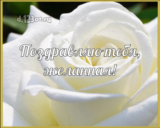 Поздравляю Тебя, желанная! Манящая открытка женщине с цветами для whatsApp, для telegram, для вконтакте, для фейсбука, для одноклассников! Скачать онлайн бесплатно для вацап!