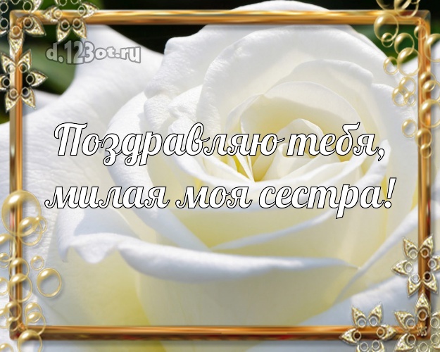Поздравляю Тебя, милая моя сестра! Лучшая открытка для лучшей сестры с цветами (розами) для вацап, для telegram, для vk, для фейсбука, для одноклассники! Скачать онлайн бесплатно для вацап!