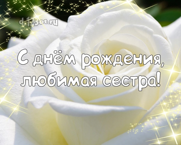 С днём рождения, любимая сестра! Чудесная открытка классной сестре с красивыми розами для ватсапа, для телеграм, для vk, для facebook, для одноклассников! Скачать онлайн бесплатно для вацап!