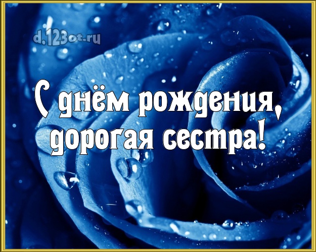 С днём рождения, дорогая сестра! Ангельская картинка для лучшей сестры с фотками розы для whatsApp, для telegram, для вк, для фейсбук, для одноклассники! Скачать онлайн бесплатно для вацап!