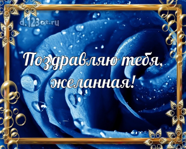 Поздравляю Тебя, желанная! Лучшая картинка женщине с розочками для whatsApp, для telegram, для vk, для facebook, для одноклассников! Скачать онлайн бесплатно для вацап!