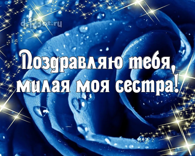 Поздравляю Тебя, милая моя сестра! Душевная картинка классной сестре с розой для ватсапа, для telegram, для vk, для facebook, для одноклассников! Скачать онлайн бесплатно для вацап!