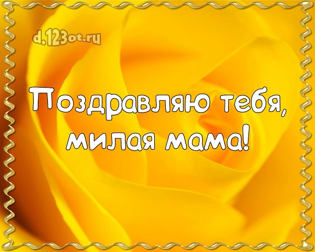 Поздравляю Тебя, милая мама! Лучшая открытка лучшей маме на свете с розой для whatsApp, для телеграм, для вконтакте, для фейсбук, для одноклассники! Скачать онлайн бесплатно для вацап!