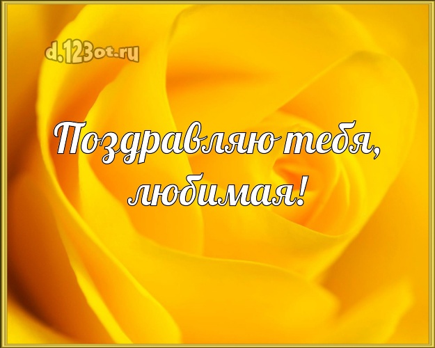 Поздравляю Тебя, любимая! Лучшая картинка женщине с розами для вацап, для telegram, для vk, для фейсбук, для одноклассники! Скачать онлайн бесплатно для вацап!