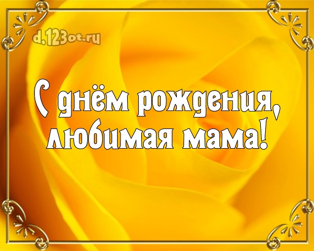 С днём рождения, любимая мама! Забавная картинка для лучшей мамы с розами для ватсапа, для телеграм, для вконтакте, для фейсбук, для одноклассников! Скачать онлайн бесплатно для вацап!