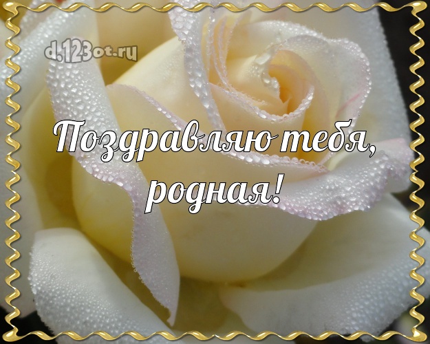 Поздравляю Тебя, родная! Чудесная открытка для женщины с цветами для whatsApp, для телеграм, для вк, для facebook, для одноклассников! Скачать онлайн бесплатно для вацап!