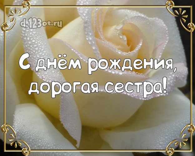 С днём рождения, дорогая сестра! Великолепная открытка классной сестре с цветами (розами) для whatsApp, для telegram, для вконтакте, для фейсбука, для одноклассников! Скачать онлайн бесплатно для вацап!