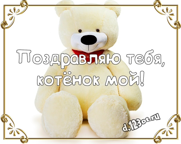 Поздравляю Тебя, котёнок мой! Пушистая картинка любимой малышке с красивыми плюшевыми мишками для вацап, для телеграм, для вк, для фейсбука, для одноклассники! Скачать онлайн бесплатно для вацап!