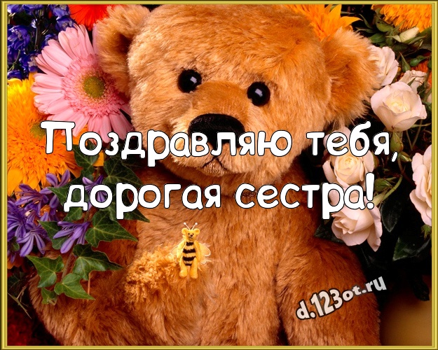 Поздравляю Тебя, дорогая сестра! Нежная открытка для лучшей сестры с классным плюшевым медвежонком для whatsApp, для telegram, для вк, для фейсбука, для одноклассников! Скачать онлайн бесплатно для вацап!