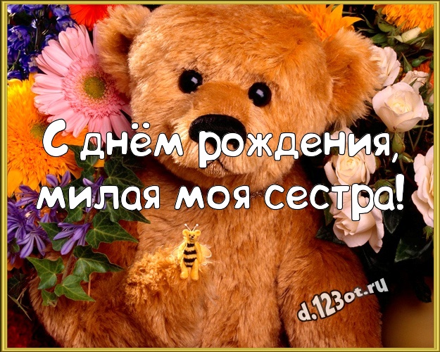С днём рождения, милая моя сестра! Ангельская открытка любимой сестре с медвежонком для ватсапа, для telegram, для vk, для фейсбука, для одноклассников! Скачать онлайн бесплатно для вацап!