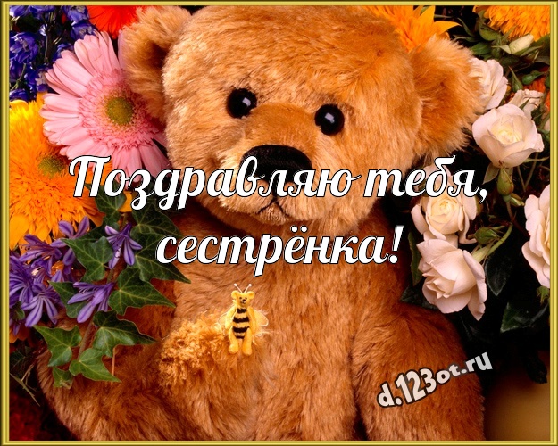 Поздравляю Тебя, сестрёнка! Милая картинка для моей сестры с милашным плюшевым медведем для whatsApp, для telegram, для вконтакте, для фейсбук, для одноклассников! Скачать онлайн бесплатно для вацап!