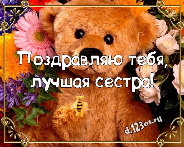 Поздравляю Тебя, лучшая сестра! Няшная открытка моей сестренке с милыми плюшевыми медведями для ватсапа, для telegram, для вконтакте, для фейсбук, для одноклассников! Скачать онлайн бесплатно для вацап!