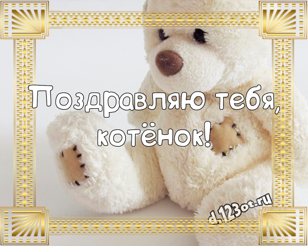 Поздравляю Тебя, котёнок! Милашная картинка моей девушке с милашным плюшевым медведем для whatsApp, для telegram, для vk, для фейсбука, для одноклассников! Скачать онлайн бесплатно для вацап!