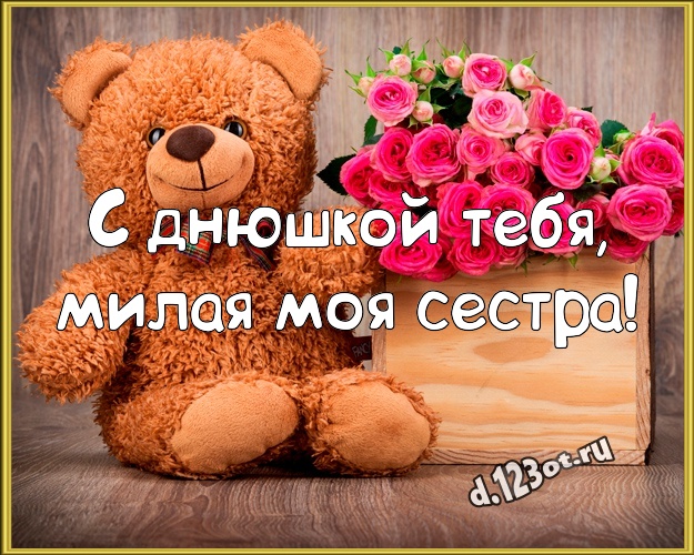 С днюшкой Тебя, милая моя сестра! Милашная открытка лучшей сестренке с плюшевой игрушкой медведя для ватсапа, для telegram, для вк, для фейсбук, для одноклассники! Скачать онлайн бесплатно для вацап!