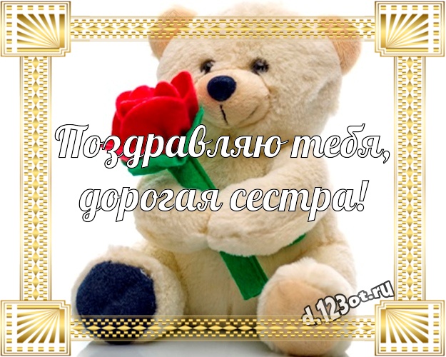 Поздравляю Тебя, дорогая сестра! Красивая картинка моей сестренке с плюшевой игрушкой медведя для вацап, для телеграм, для вконтакте, для фейсбук, для одноклассники! Скачать онлайн бесплатно для вацап!