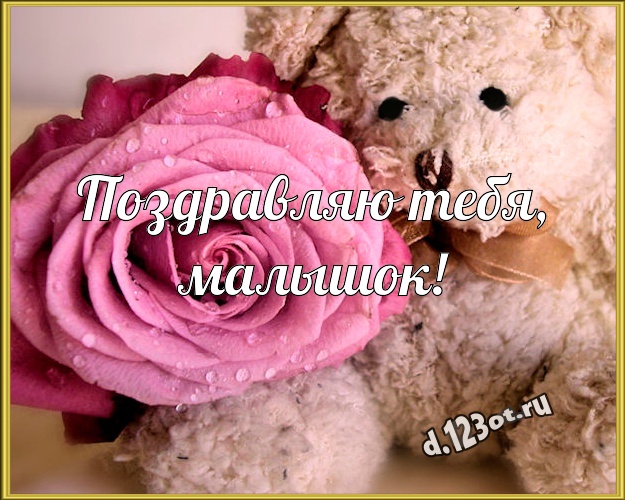 Поздравляю Тебя, малышок! Веселая картинка для детей с мишками для вацап, для телеграм, для вк, для фейсбук, для одноклассники! Скачать онлайн бесплатно для вацап!