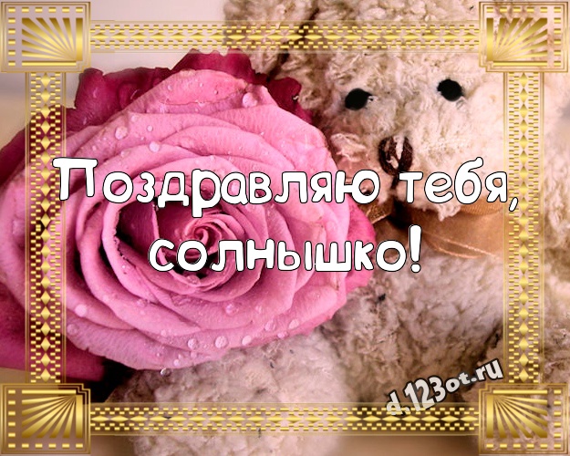 Поздравляю Тебя, солнышко! Красивая открытка для любимой девушки с плюшевым мишкой для ватсапа, для телеграм, для vk, для facebook, для одноклассников! Скачать онлайн бесплатно для вацап!