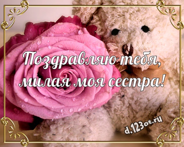 Поздравляю Тебя, милая моя сестра! Веселая открытка для моей сестры с мишкой для whatsApp, для telegram, для вконтакте, для фейсбука, для одноклассников! Скачать онлайн бесплатно для вацап!