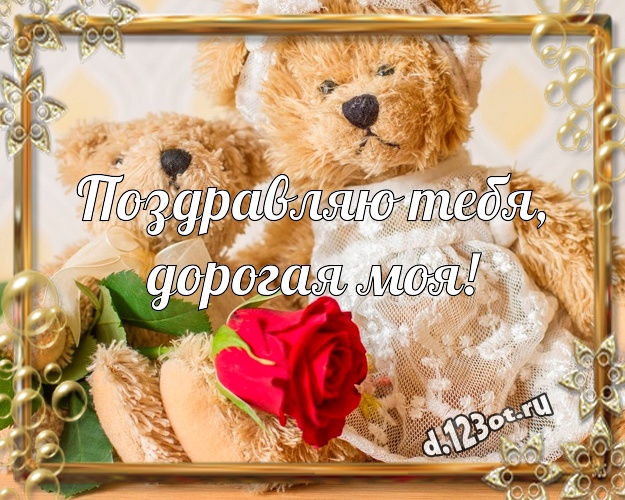 Поздравляю Тебя, дорогая моя! Веселая картинка для дорогой девушки с красивыми плюшевыми мишками для вацап, для телеграм, для vk, для фейсбука, для одноклассников! Скачать онлайн бесплатно для вацап!