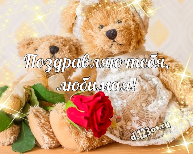 Поздравляю Тебя, любимая! Пушистая открытка любимой девушке с медвежатами для ватсапа, для телеграм, для vk, для фейсбук, для одноклассников! Скачать онлайн бесплатно для вацап!